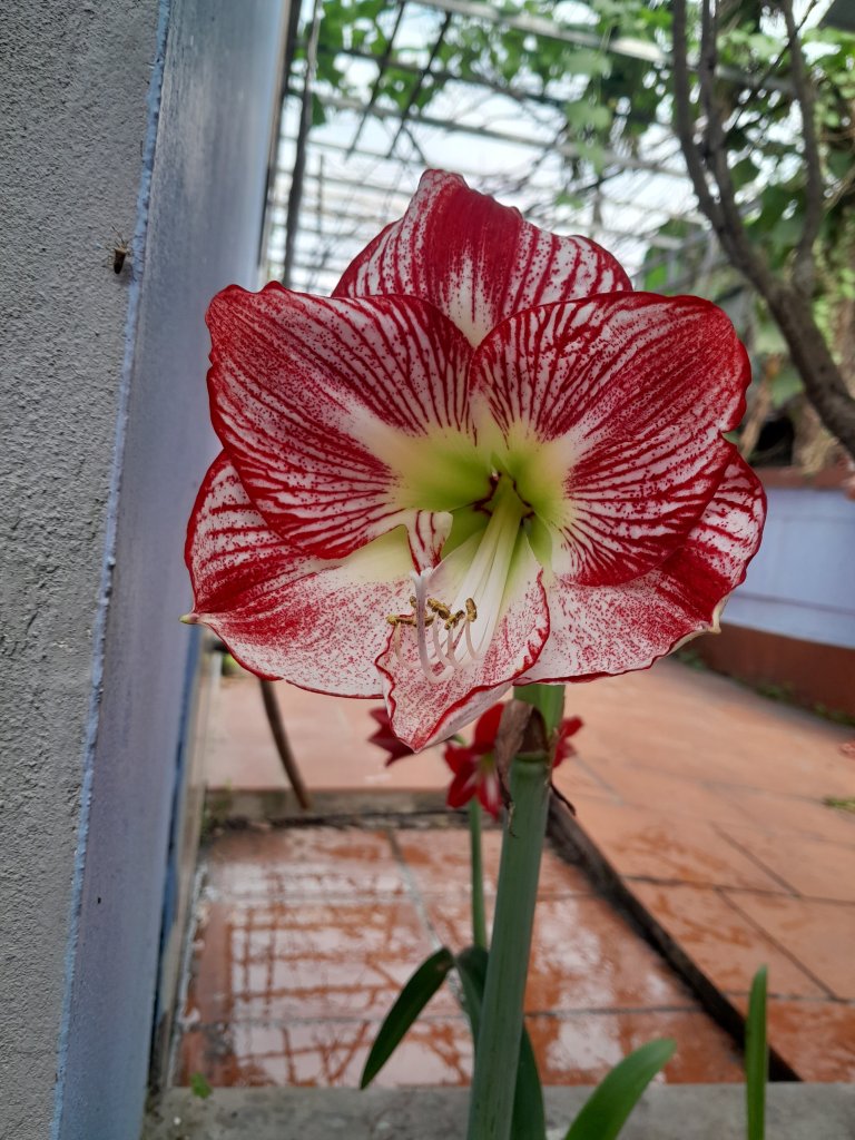 20250501_160544.jpg