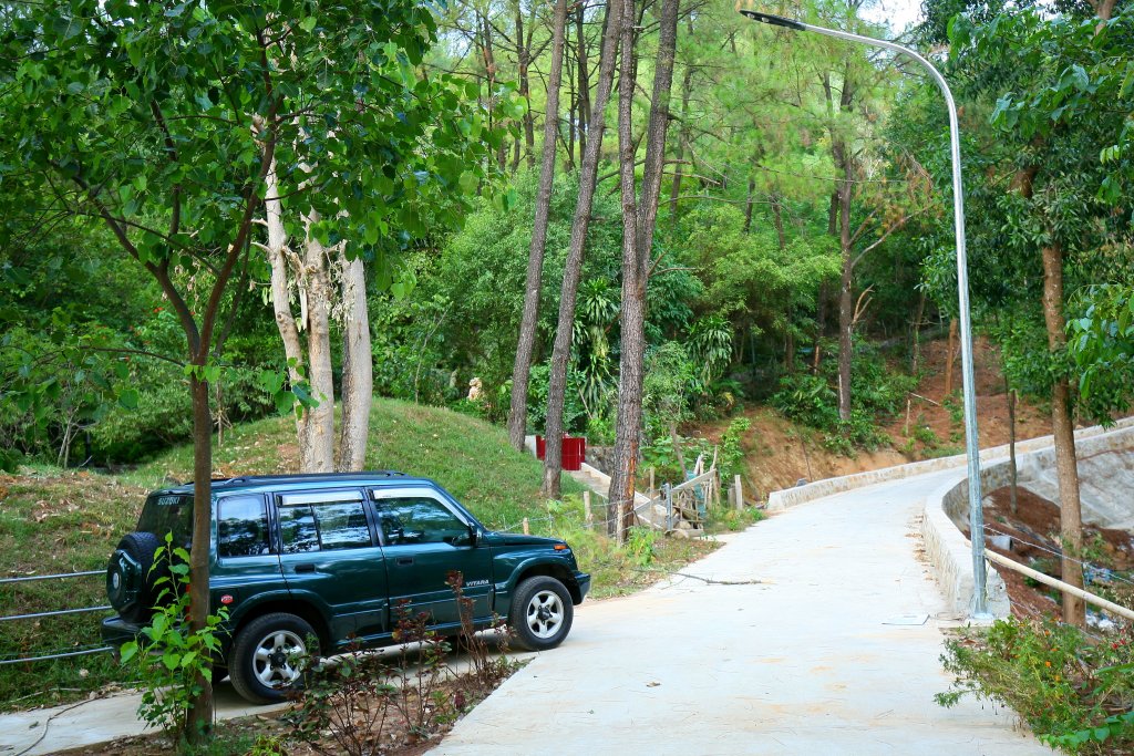 Vitara.JPG
