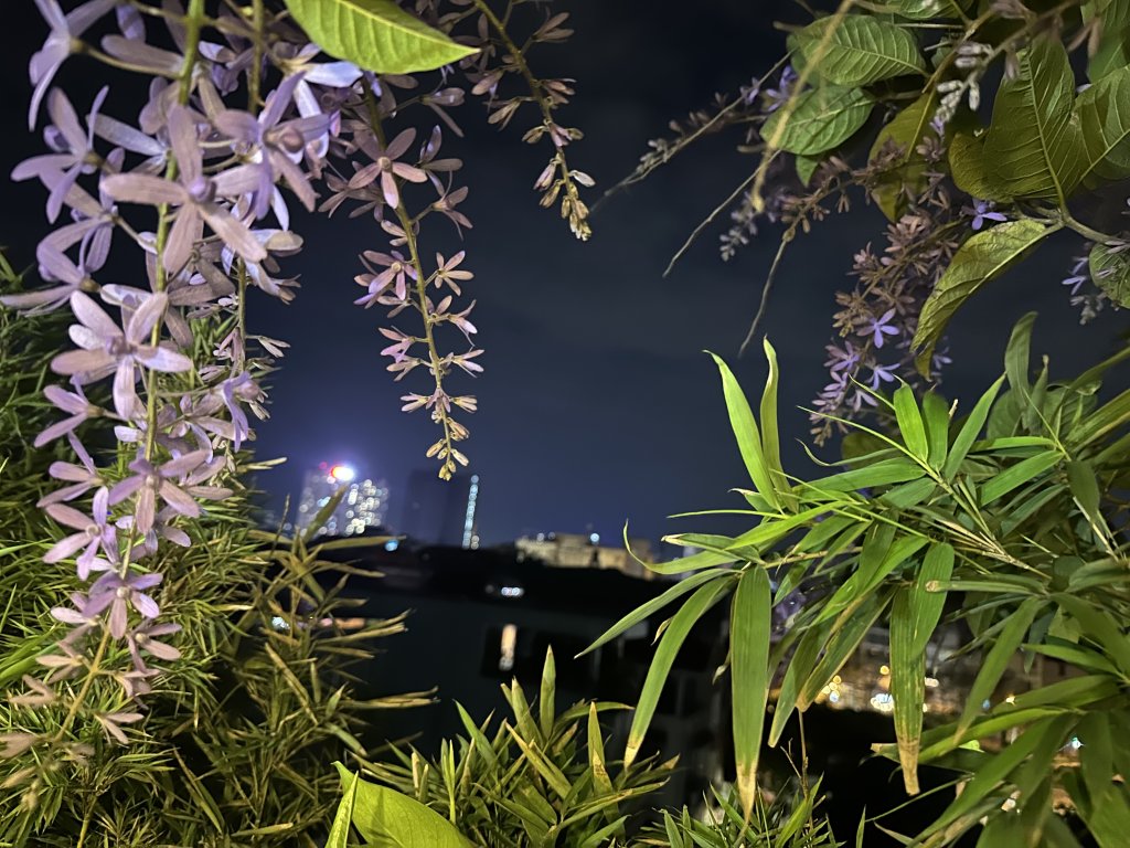 IMG_0348.jpeg