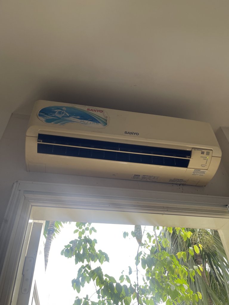 IMG_6533.jpeg
