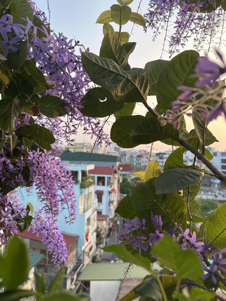 IMG_0460.jpeg
