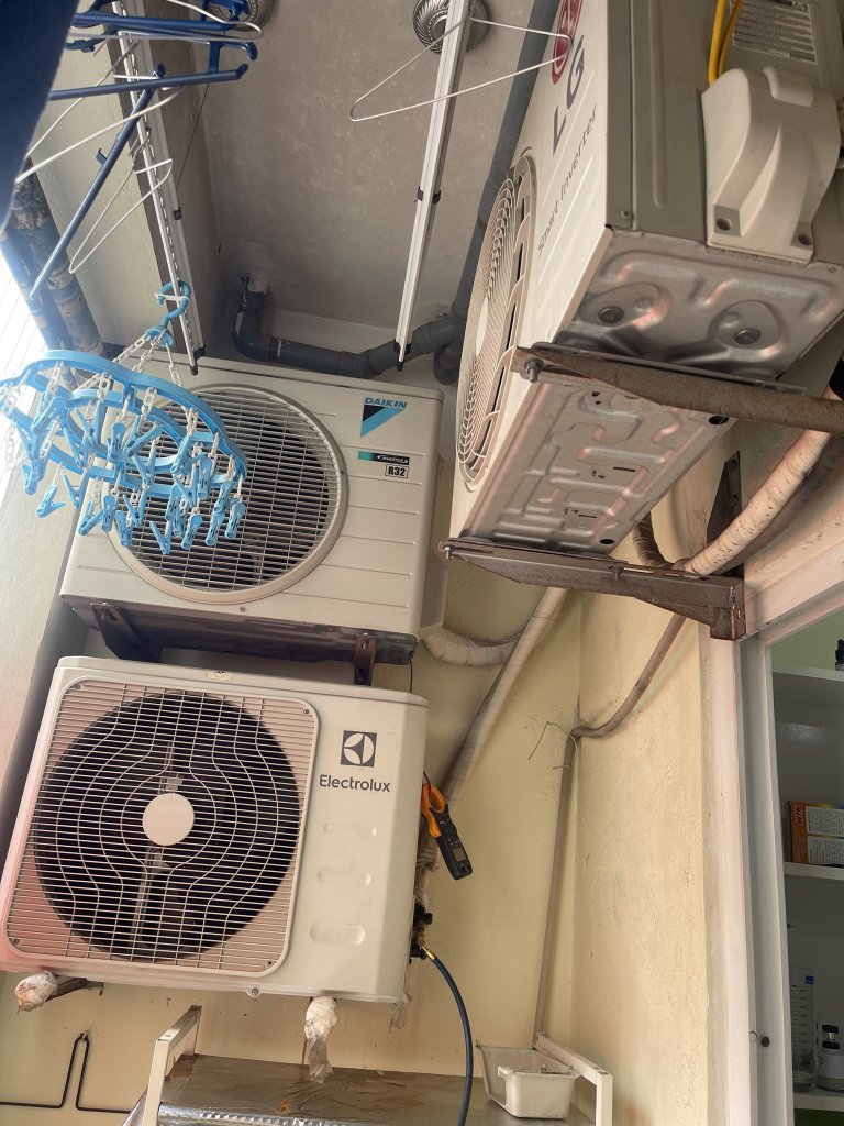 IMG_6617.jpeg