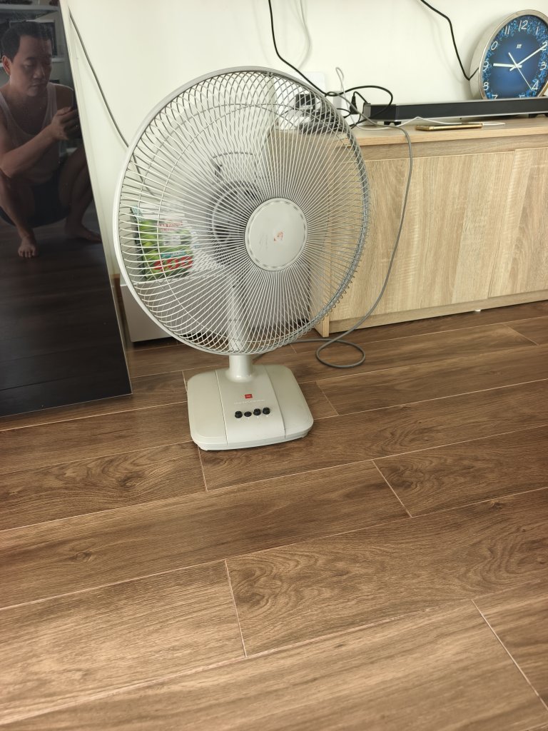 1000003694.jpg