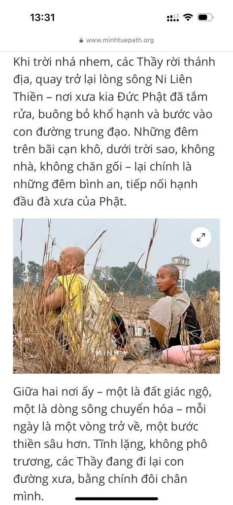 IMG_3774.png