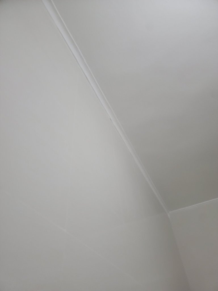 20250504_164755.jpg