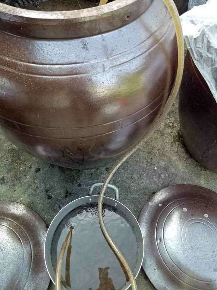 1000033602.jpg