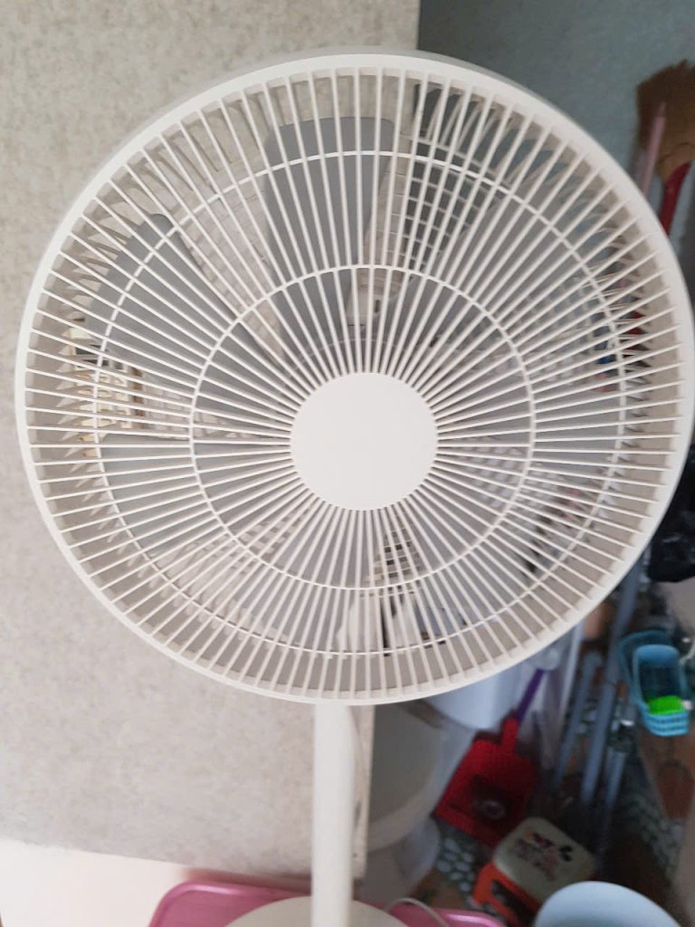 z6559559245158_9b324c07ab61aee4258ffcc62d6fcf2b.jpg