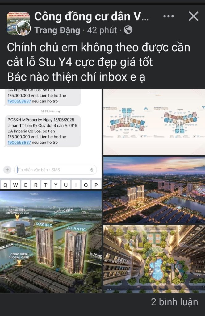 1000038687.jpg