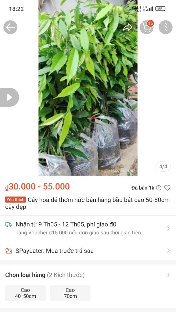 1000002949.jpg
