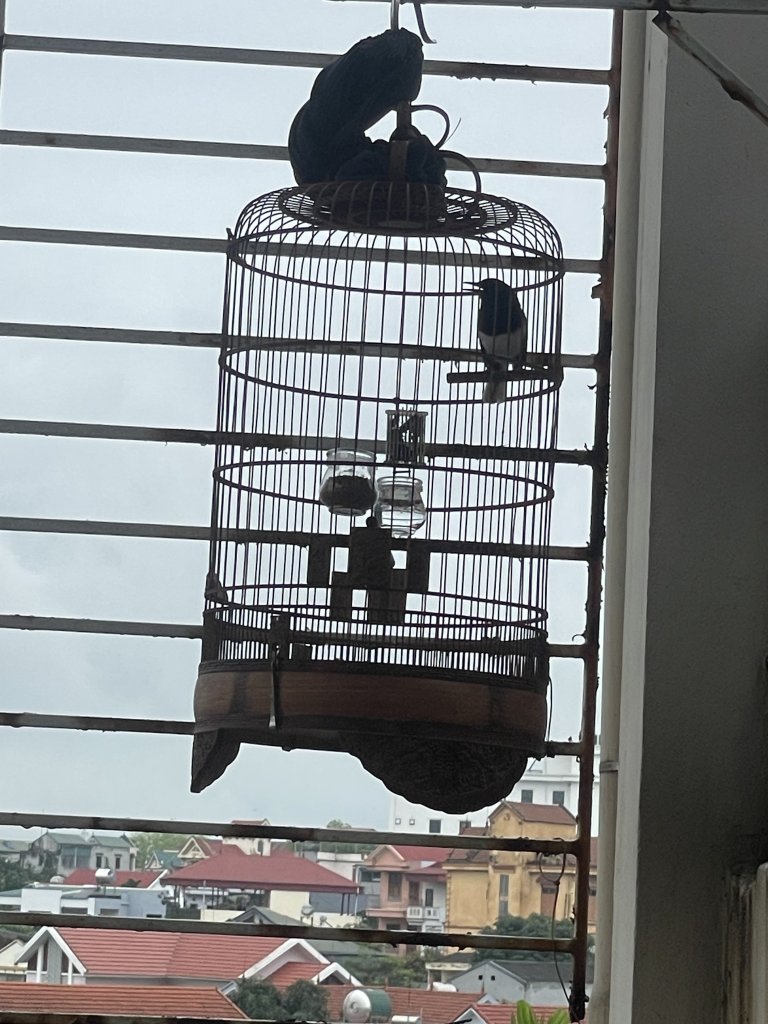 IMG_5039.jpeg