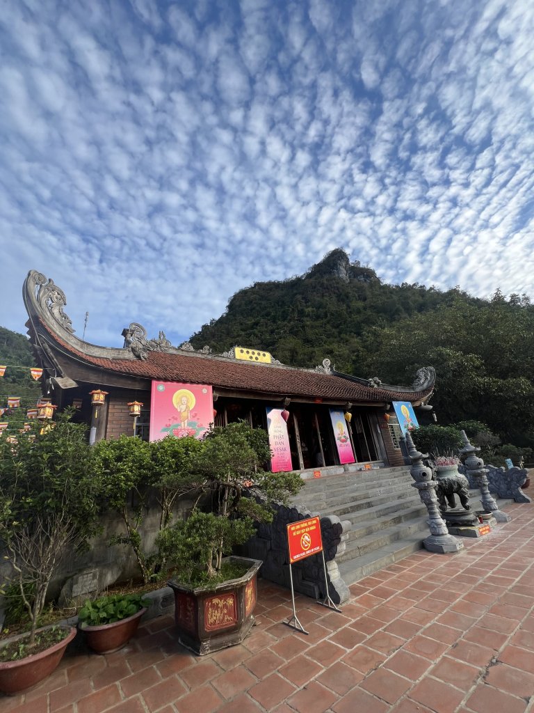 IMG_5244.jpeg