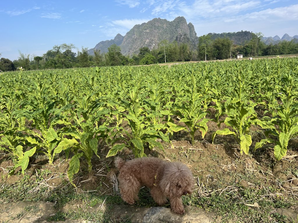 IMG_5392.jpeg
