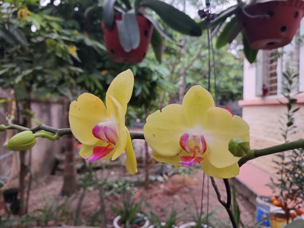 9c0d0401ad8e1fd0469f32.jpg