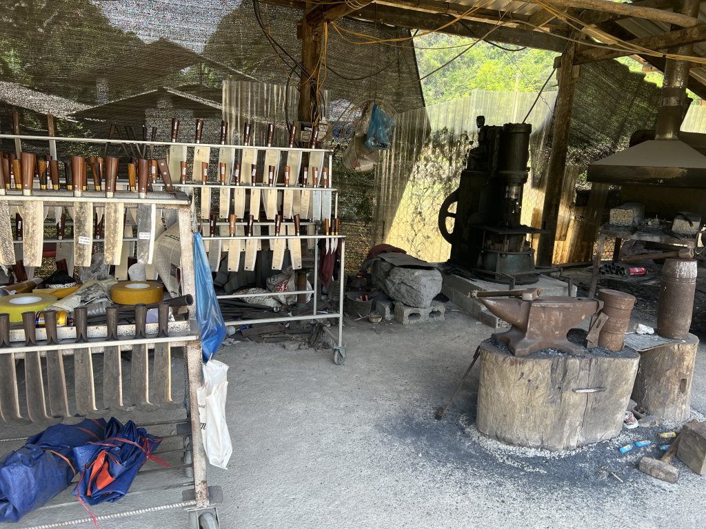 IMG_5502.jpeg