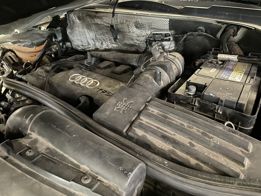 z5540579364409_e280c42999eaa9dba2c318ea6e295b33.jpg