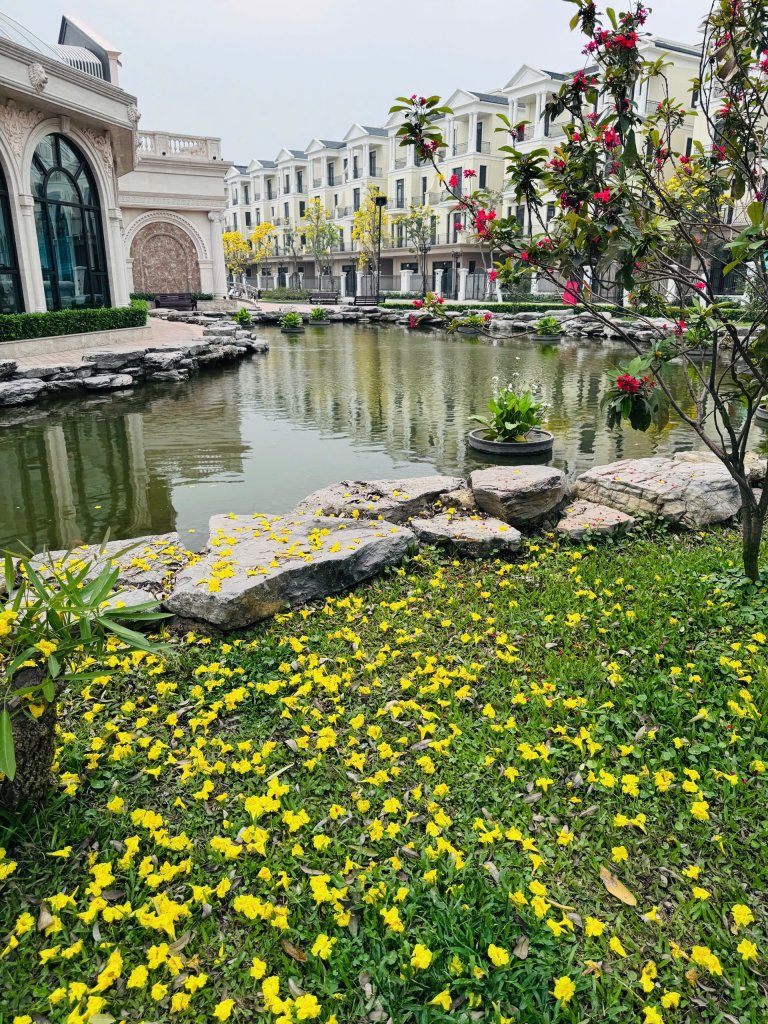 IMG_8819.jpeg