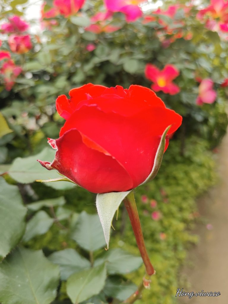 20250509_120939.jpg