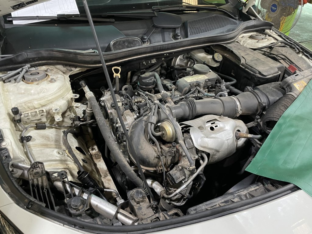 z5312005638789_e38a4907779afcaa9094e7e5d4268ec0.jpg
