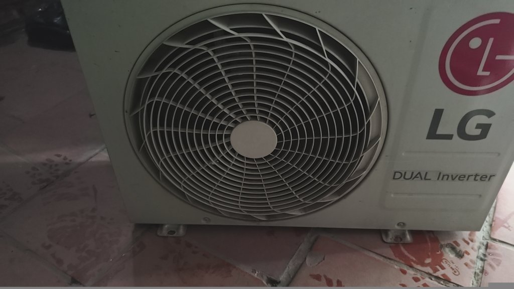 1000008299.jpg