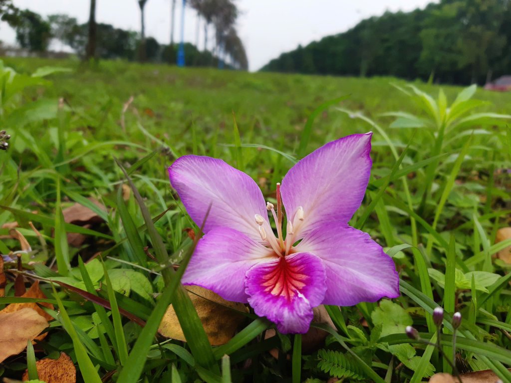 c7221bda98662a387377.jpg