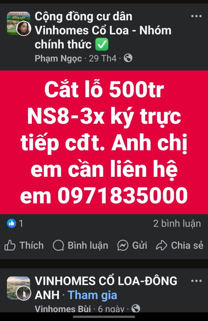 1000039003.jpg