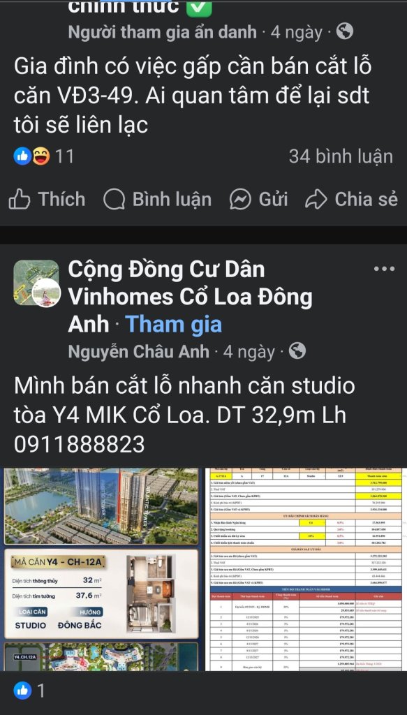 1000039002.jpg