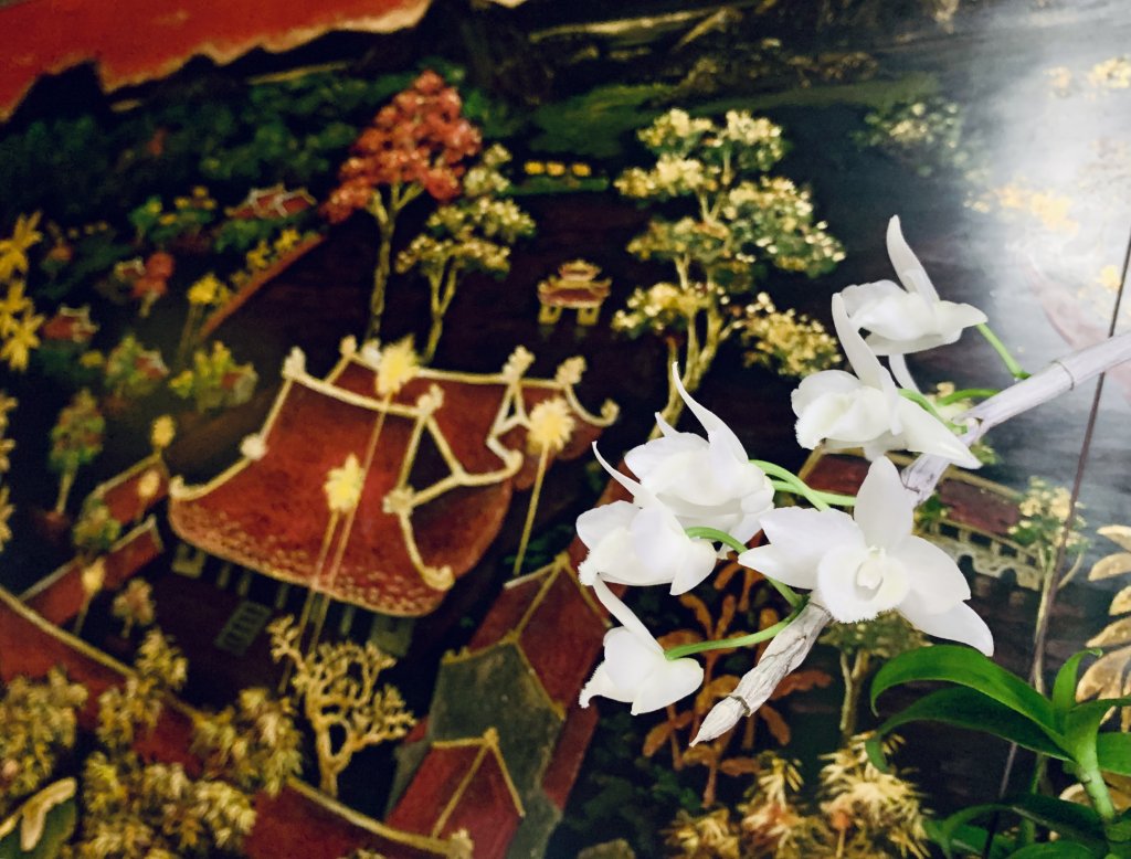 30C29A5A-329C-453E-B802-C6880154EDB9.jpeg