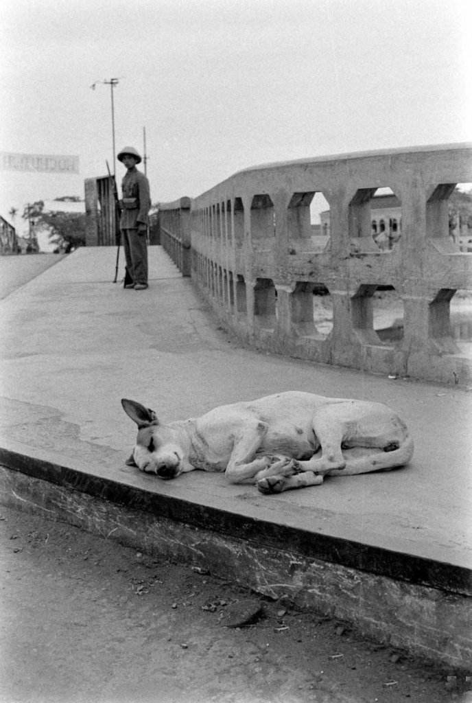 Hải Phòng 1955_5_13 (14).jpg