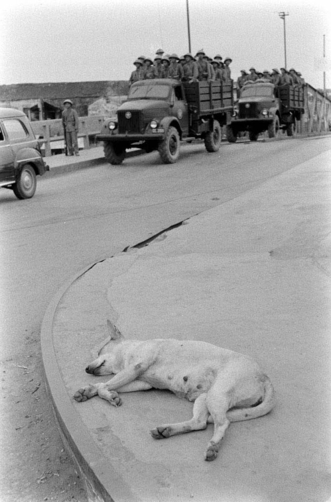 Hải Phòng 1955_5_13 (15).jpg