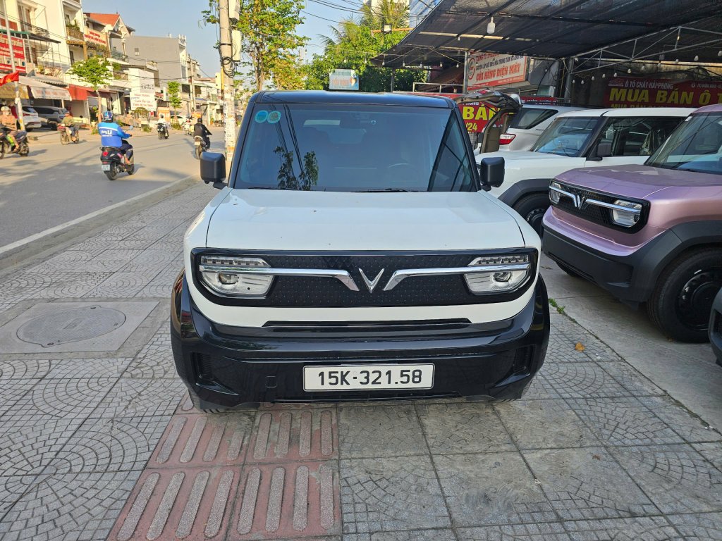z6595027433299_63b5bc7b9e097cc73cb5d356cb14a6e0.jpg