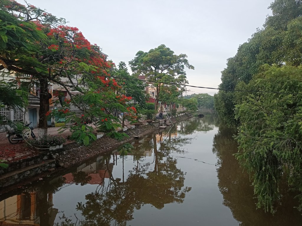 IMG20240612053613.jpg