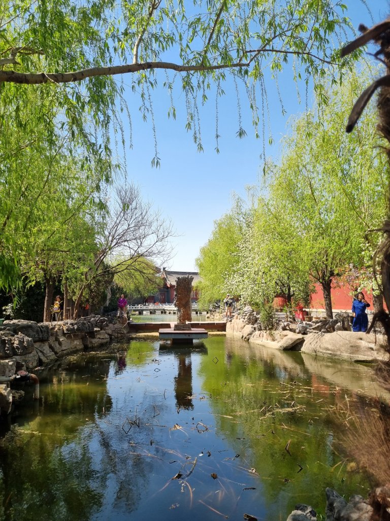 20250402_104328.jpg