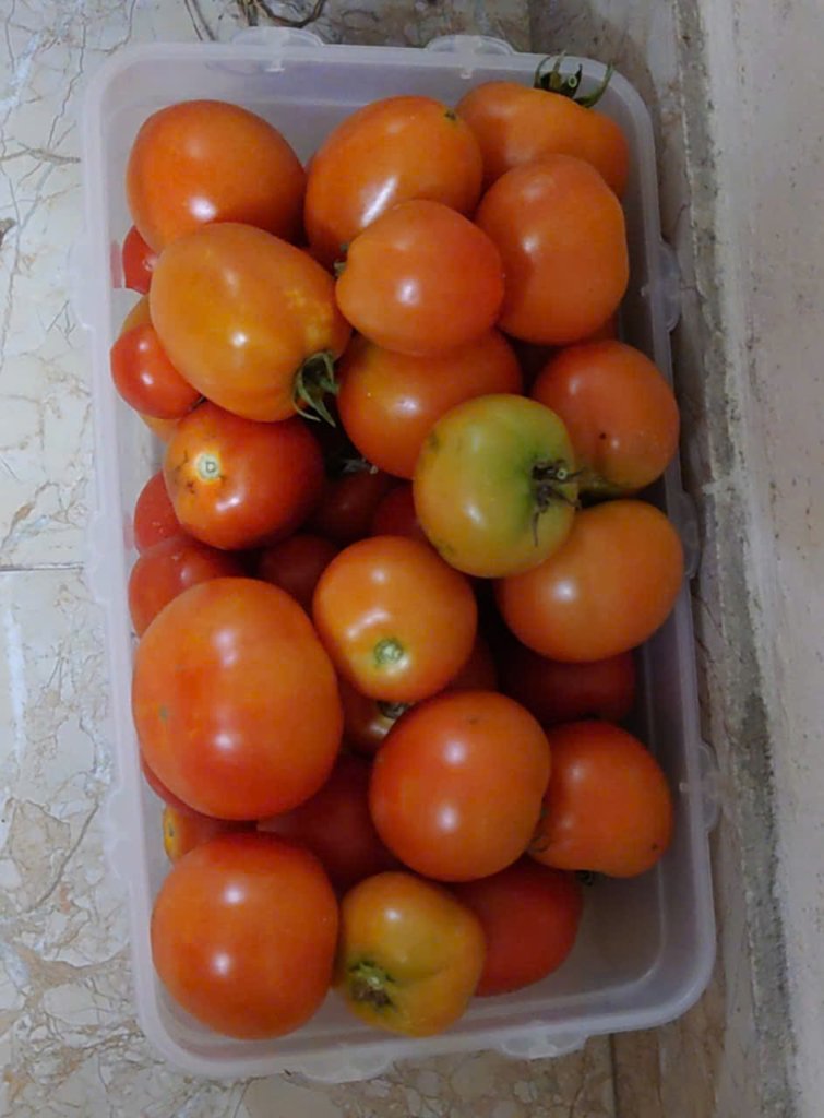 83bdbda792dc27827ecd1.jpg