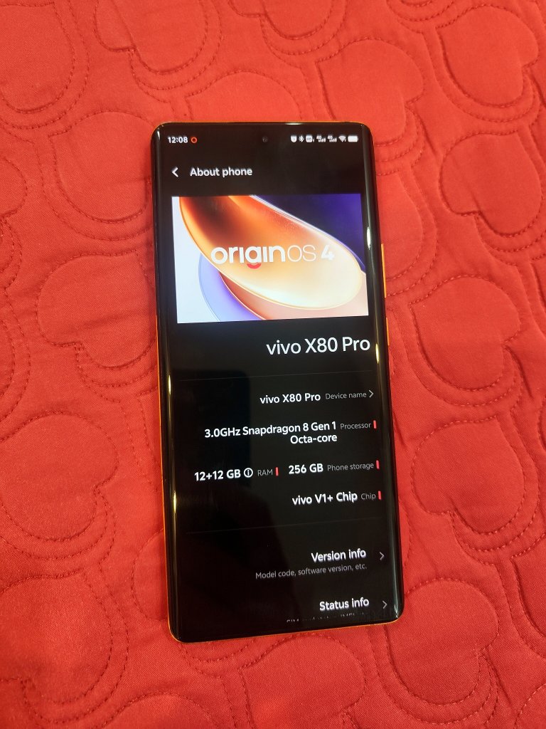 2 Vivo X80 Pro (1).jpg