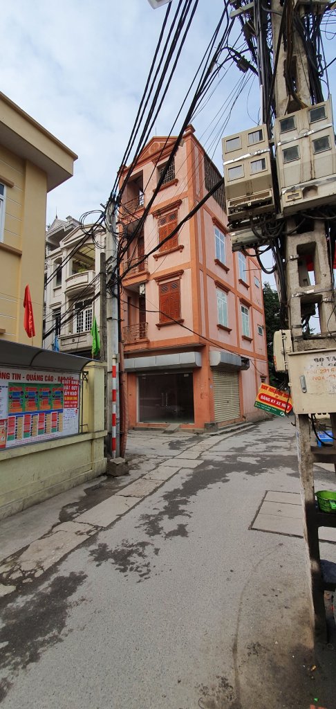 ngo 207.jpg