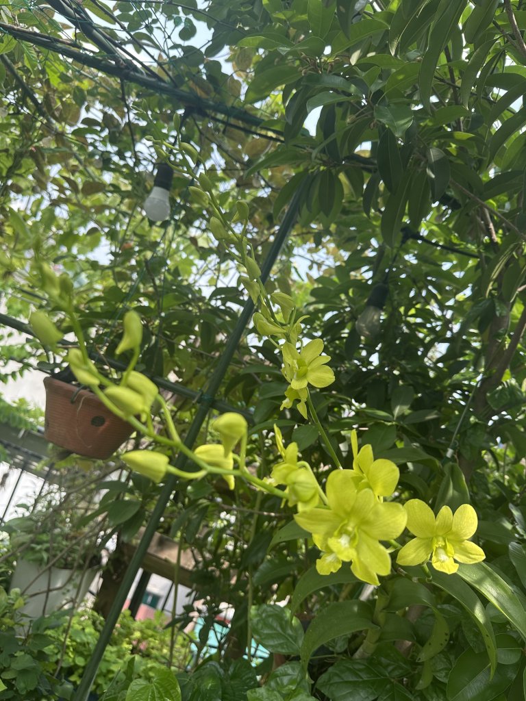 IMG_0973.jpeg