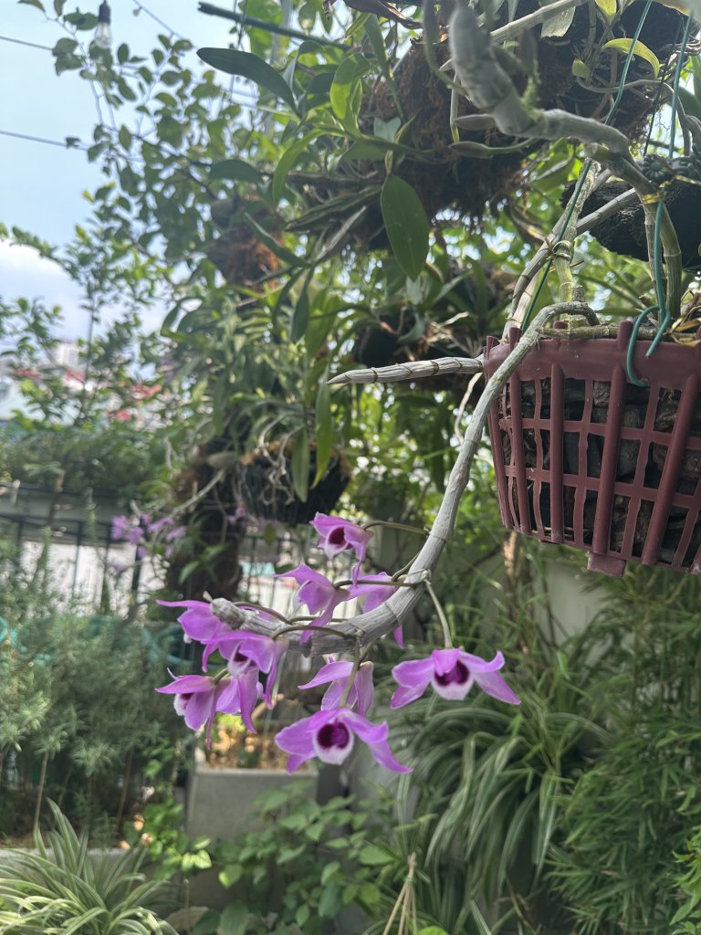 IMG_0964.jpeg