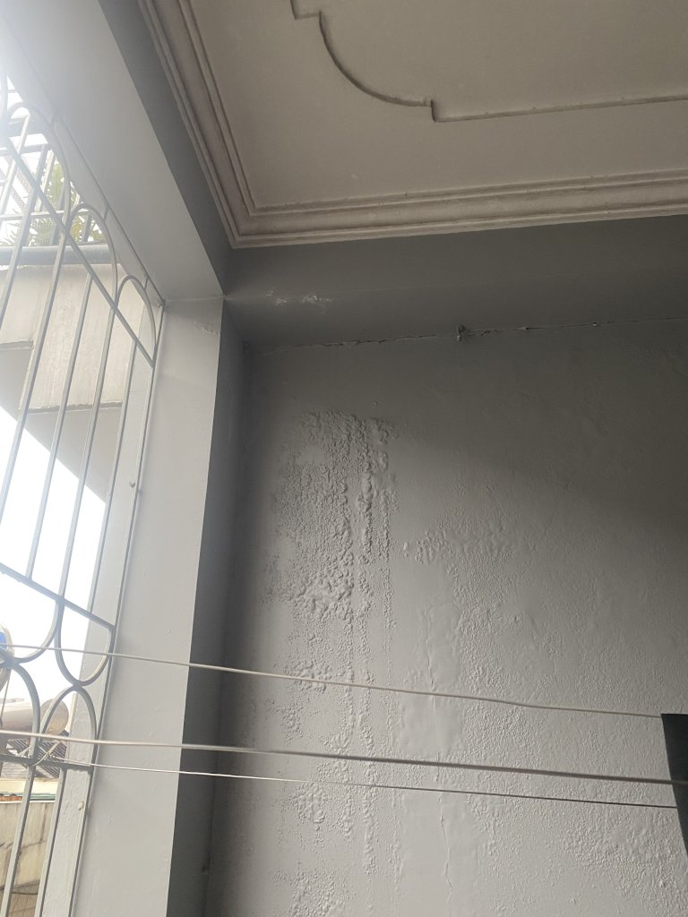 IMG_0266.jpeg