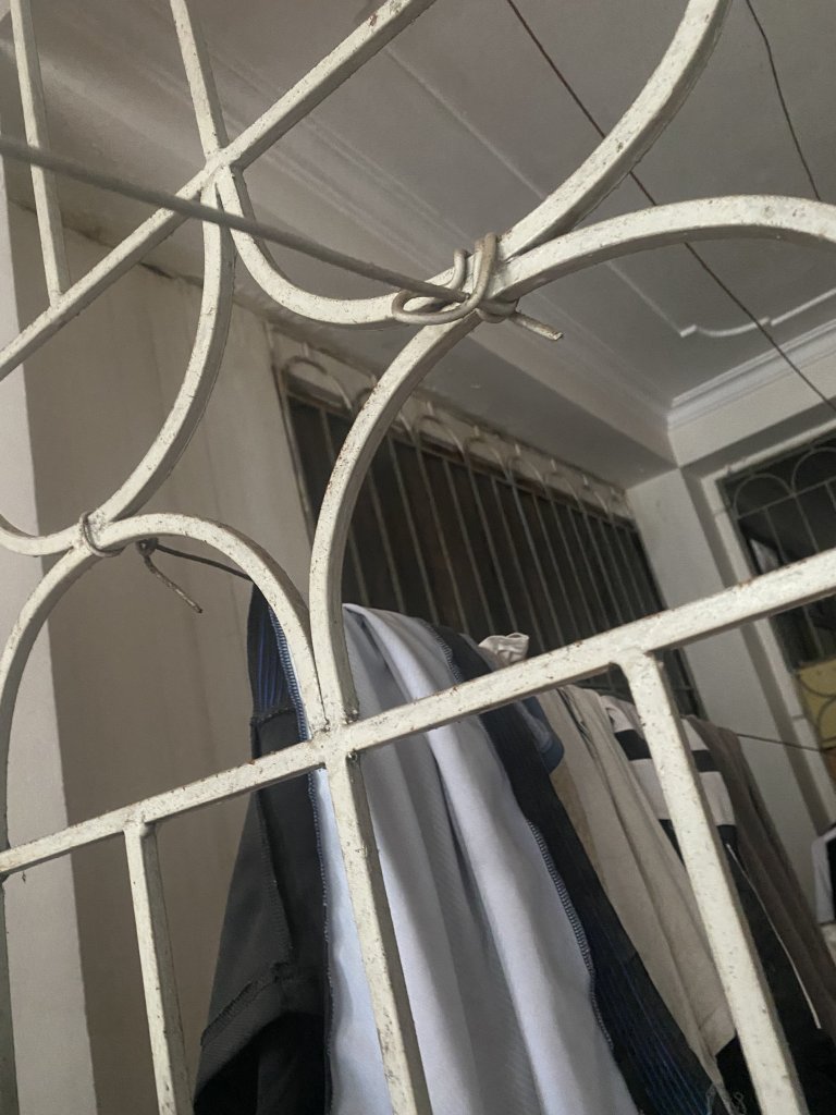 IMG_0269.jpeg
