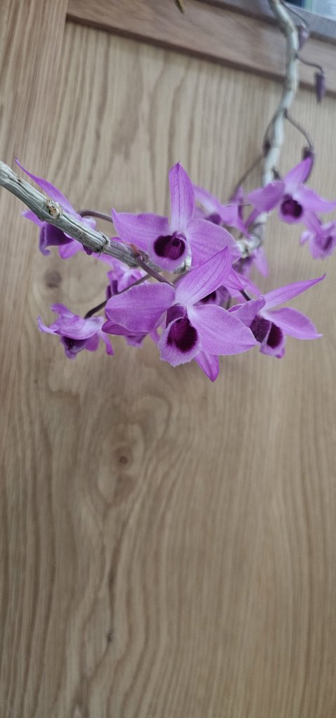 1000023315.jpg