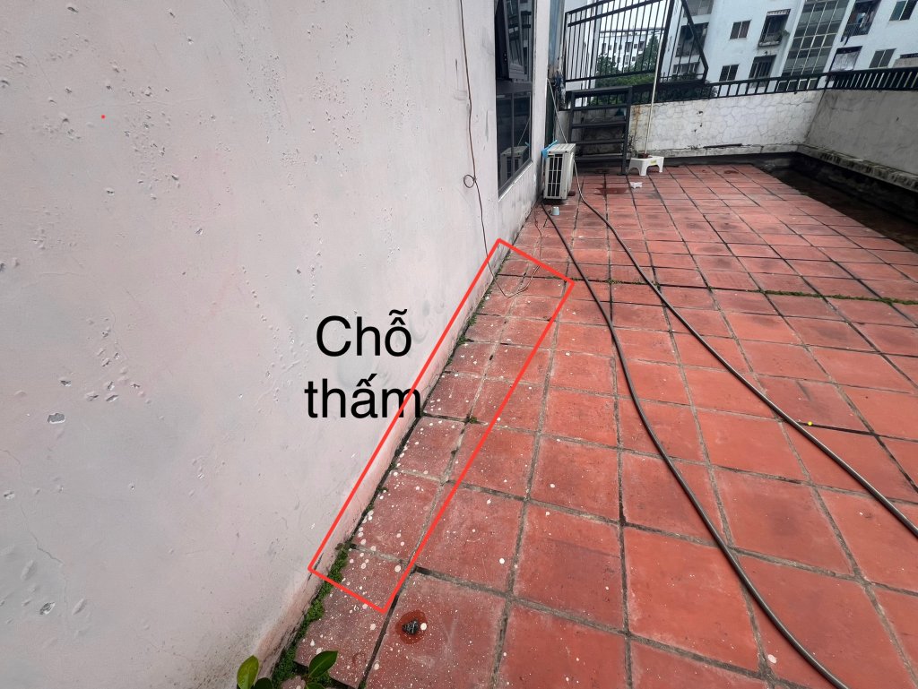 IMG_8764.jpeg