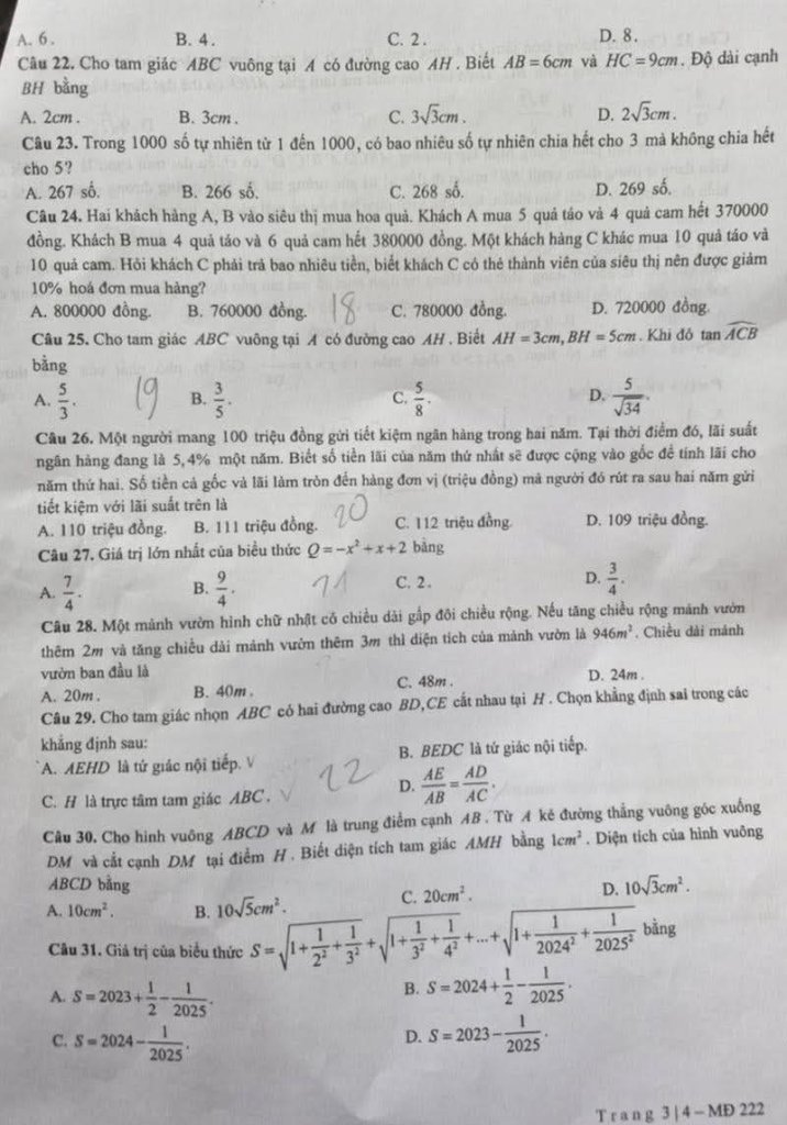 1000038845.jpg