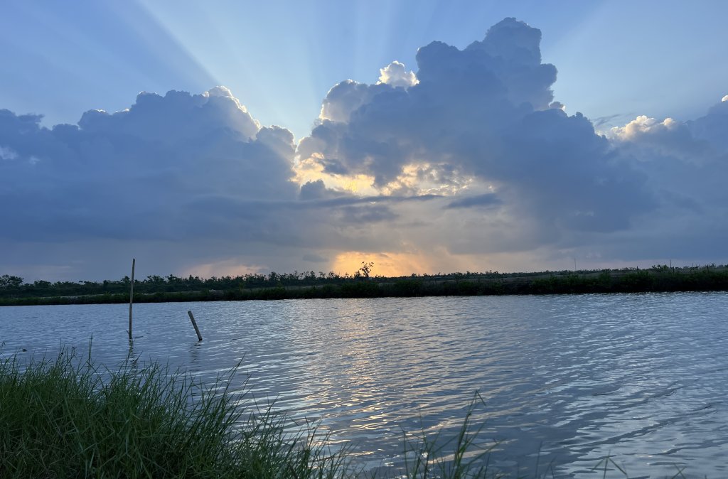 IMG_6776.jpeg