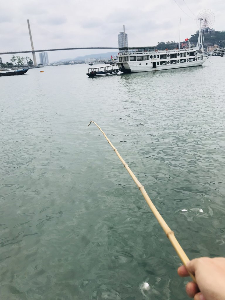 E55D842C-B423-4D57-8565-21456F6F3065.jpeg