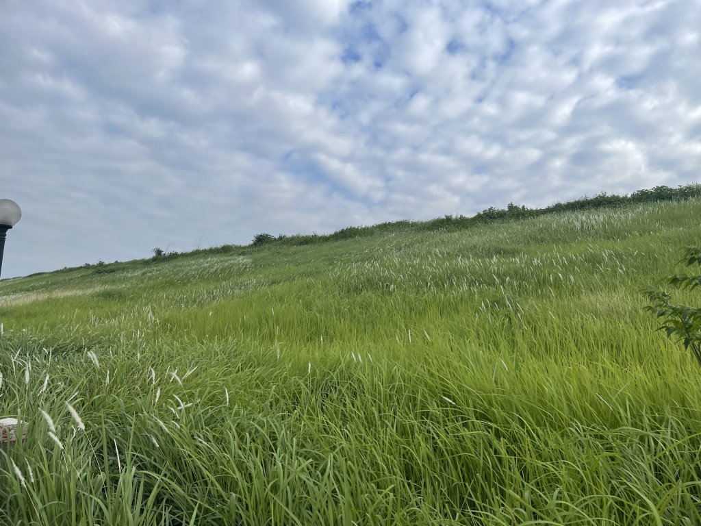 IMG_1316.jpeg