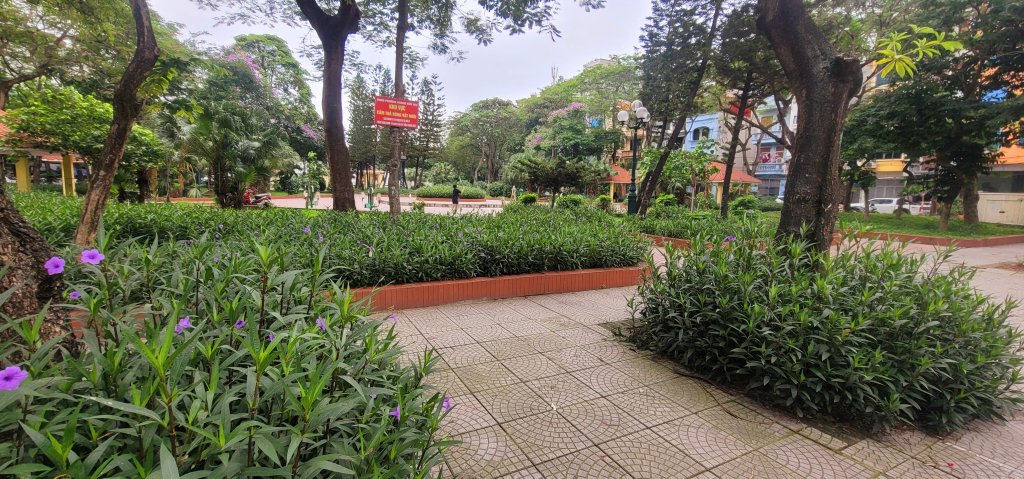 20250526_080731.jpg