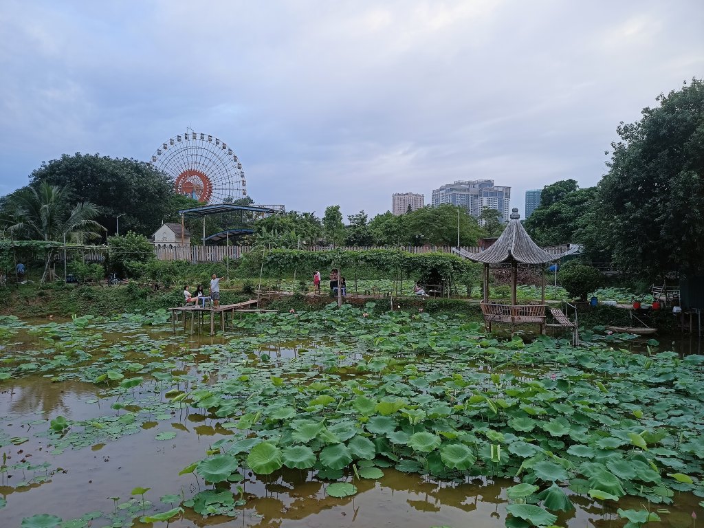 IMG20250525180819.jpg