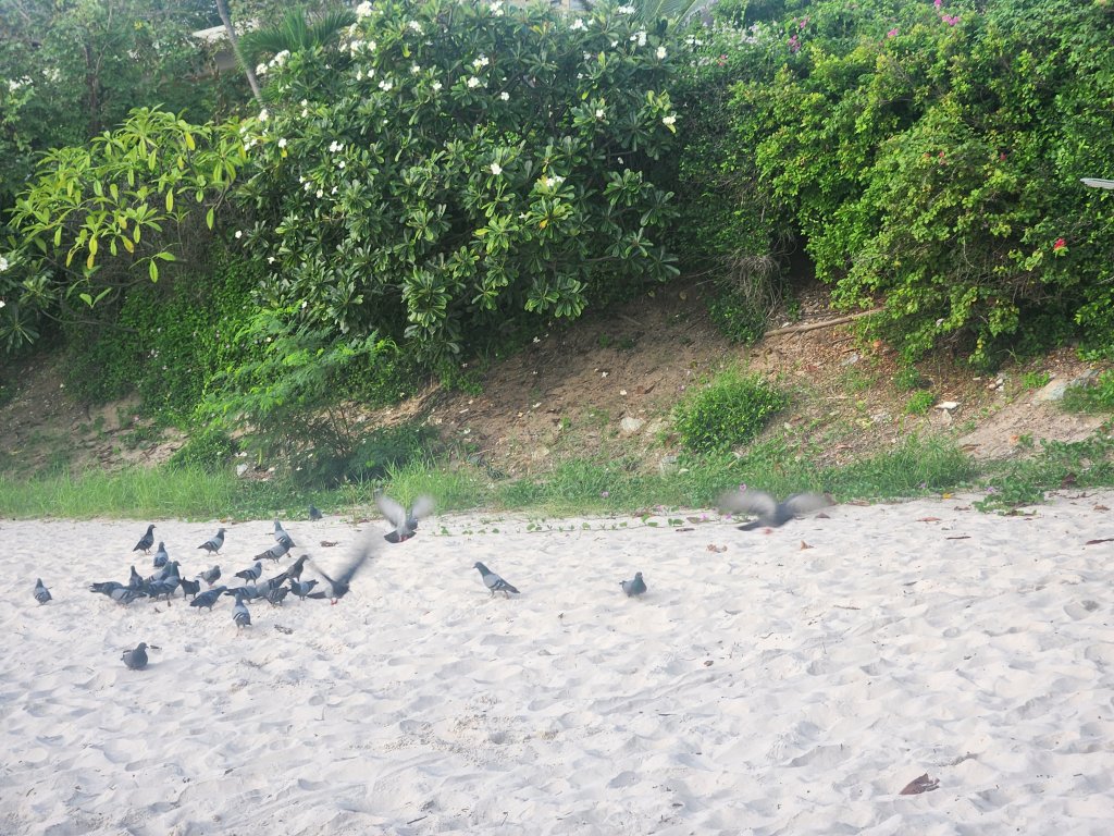 94.jpg
