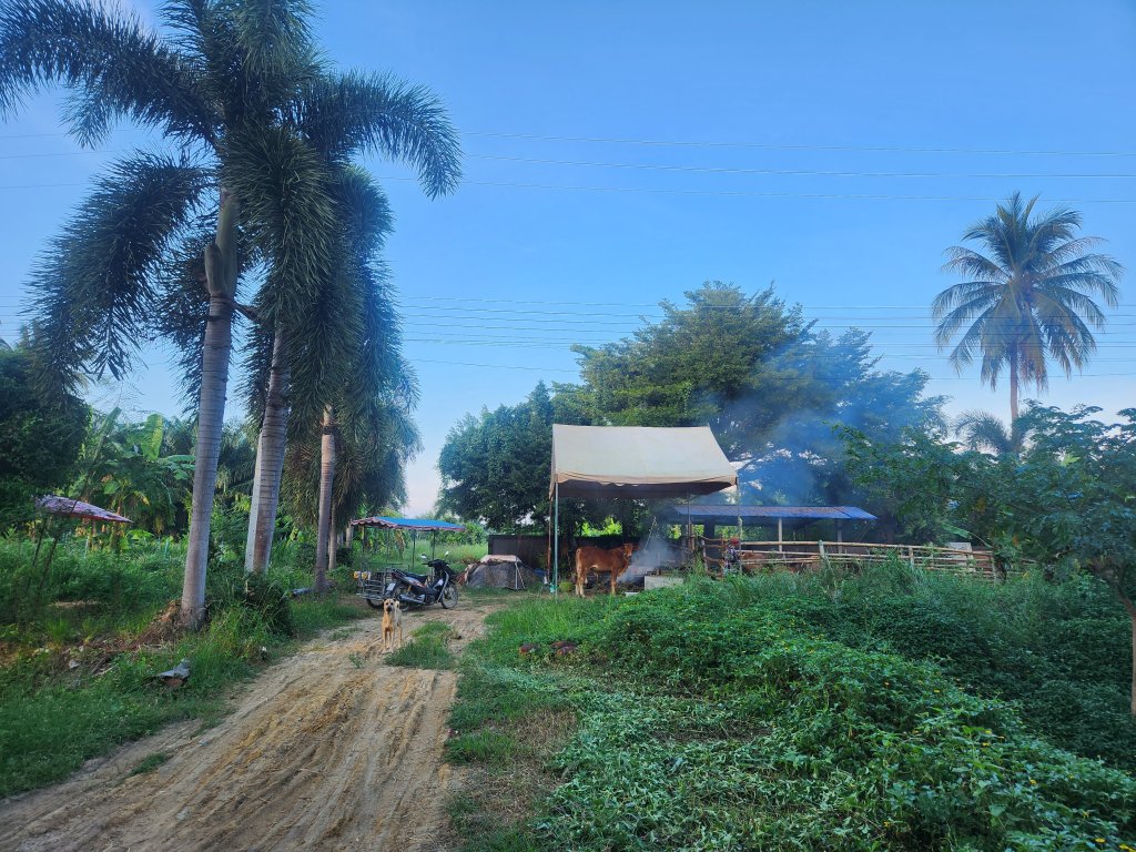 74.jpg