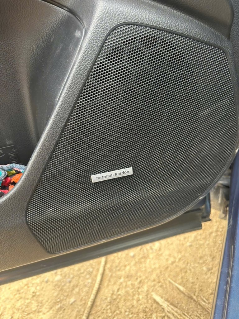IMG_6491.jpeg